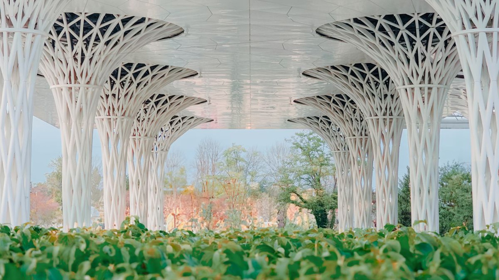 Un jardin de près de 300 m² a été aménagé le long de l’édifice (© Alek Małchowski) Un jardin de près de 300 m² a été aménagé le long de l’édifice (© Alek Małchowski)